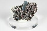 Blue Kyanite & Garnet in Biotite-Quartz Schist - Russia #178937-1